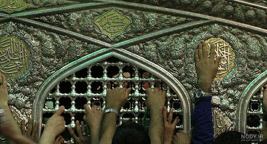 عکس حرم امام رضا با کبوتر