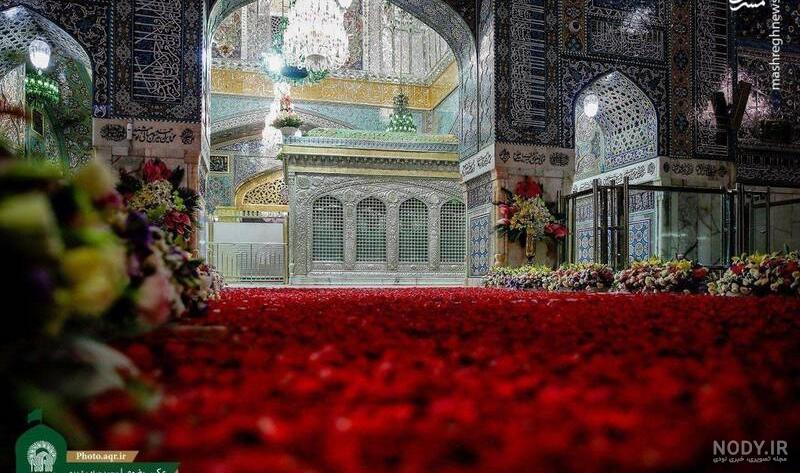 عکس حرم امام رضا با کبوتر