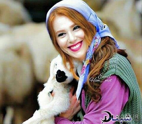 بازیگر سریال عشق اجاره ای بازیگر سریال عشق اجاره ای