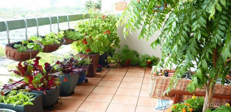 تبدیل اتاق به گلخانه