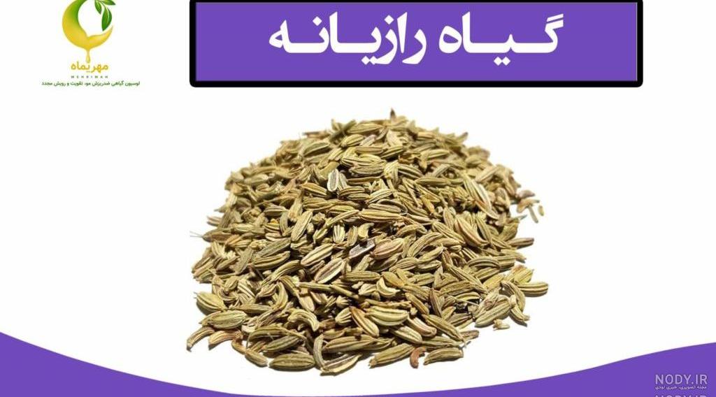 دمنوش رازیانه برای چاقی دمنوش رازیانه برای چاقی