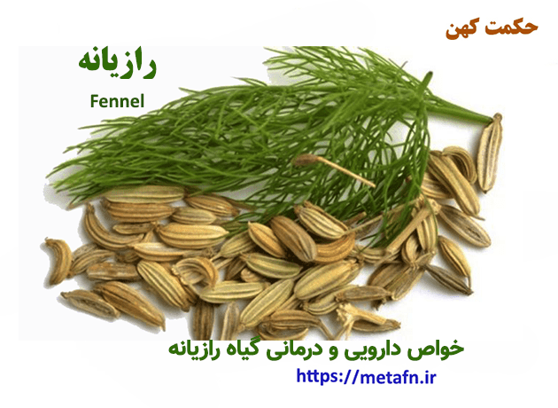 دمنوش رازیانه برای چی خوبه دمنوش رازیانه برای چی خوبه