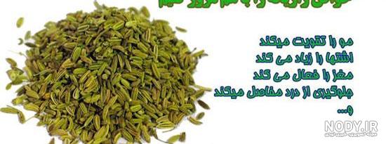 دمنوش رازیانه و شنبلیله دمنوش رازیانه و شنبلیله