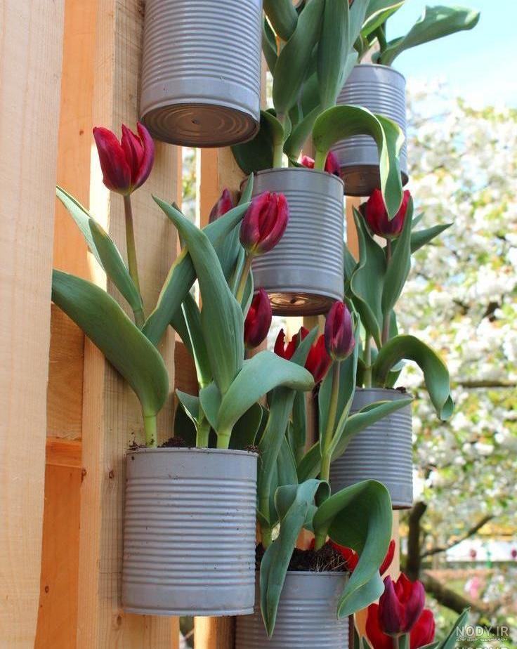 طرح گلخانه خانگی