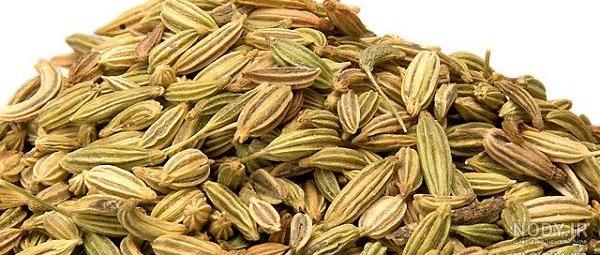 عکس رازیانه عکس رازیانه