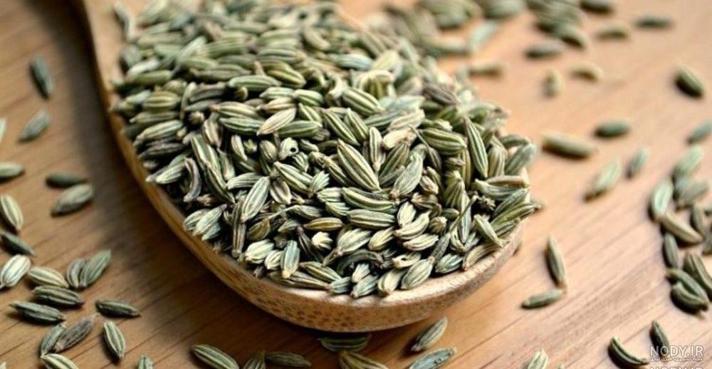 عکس رازیانه سیاه عکس رازیانه سیاه