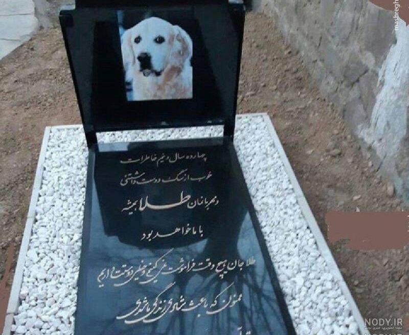 عکس سگهای رضا قمی