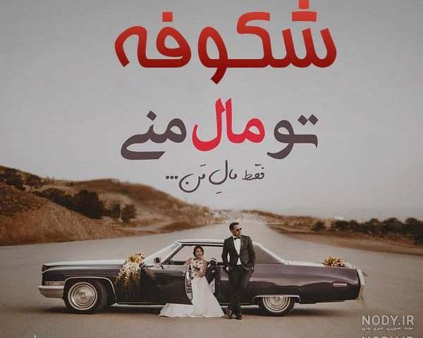 عکس شکوفه درخت عکس شکوفه درخت