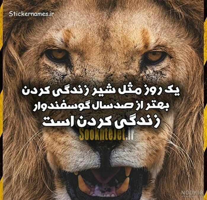عکس شیر با تاج