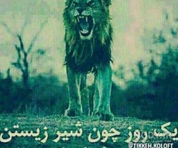 عکس شیر خفن برای پروفایل