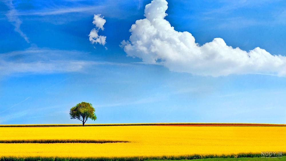 عکس طبیعت فوق العاده زیبا عکس طبیعت فوق العاده زیبا