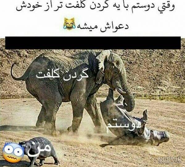 عکس فیل عروسکی عکس فیل عروسکی
