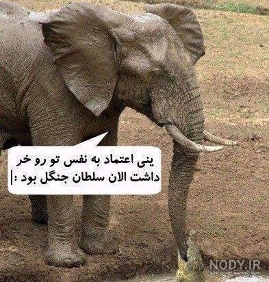 عکس فیل فانتزی عکس فیل فانتزی