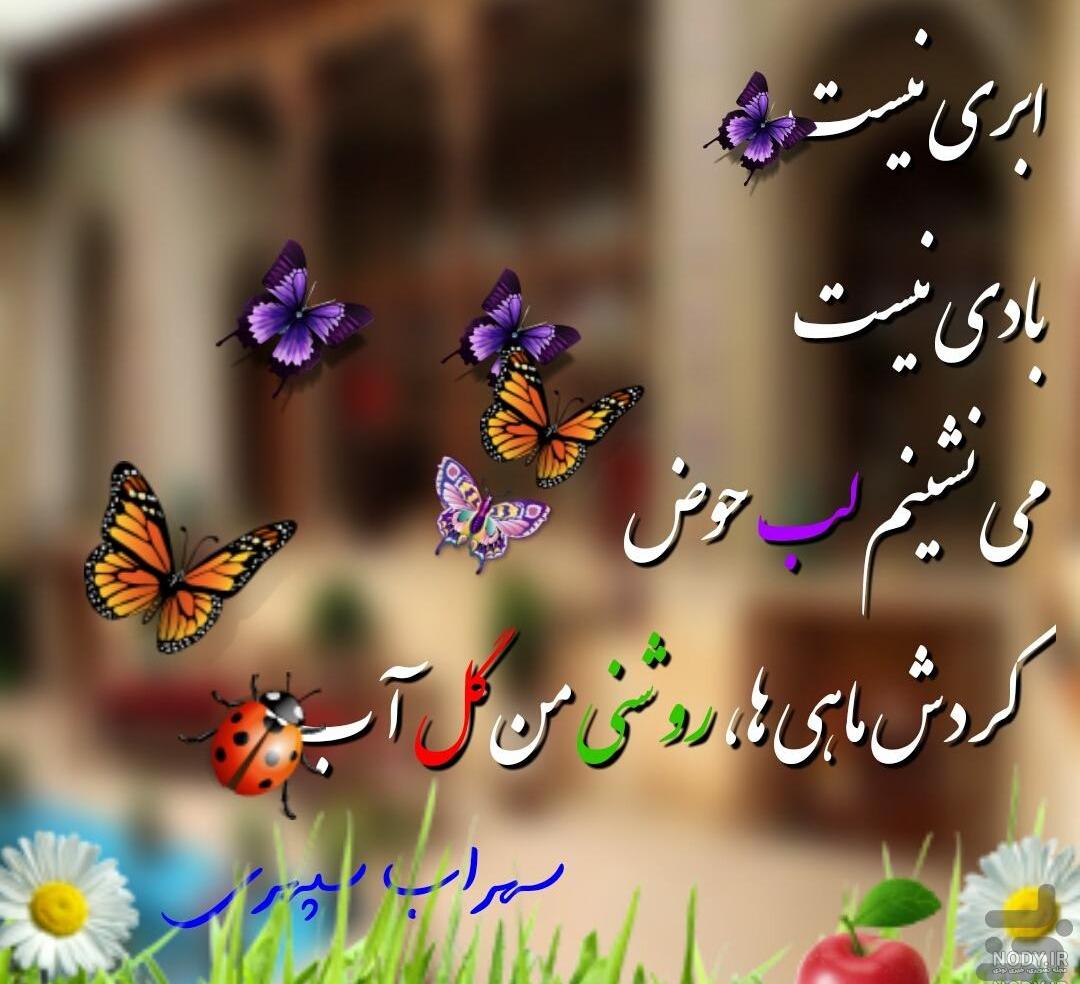 عکس نوشته پروانه زیبا
