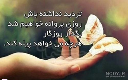 عکس پروانه در حال پرواز عکس پروانه در حال پرواز
