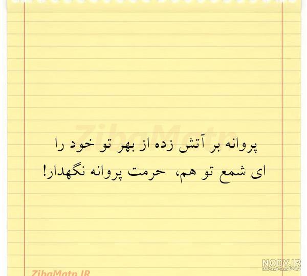 عکس پروانه زرد زیبا عکس پروانه زرد زیبا