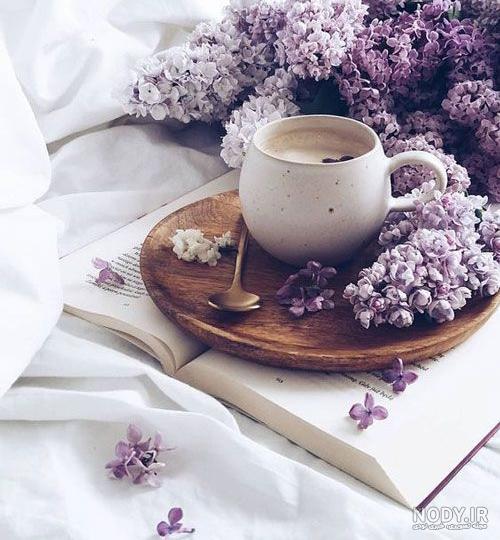 عکس پروفایل ساده عکس پروفایل ساده