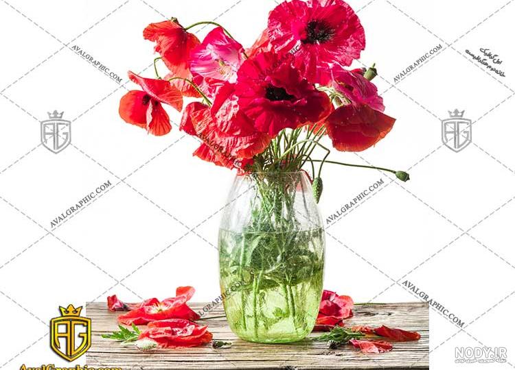 عکس گل شقایق آبی عکس گل شقایق آبی