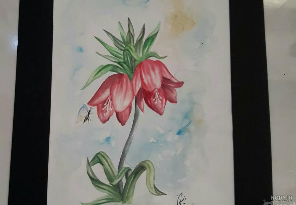 عکس گل لاله وحشی