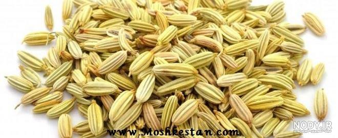 مضرات دمنوش رازیانه مضرات دمنوش رازیانه