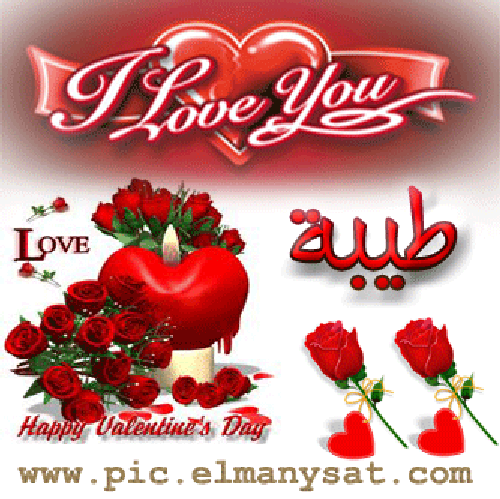 پروفایل اسم طیبه انگلیسی