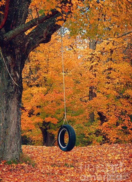پس زمینه طبیعت برای موبایل پس زمینه طبیعت برای موبایل