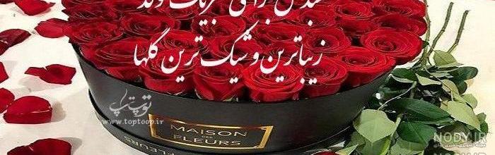 تقدیم به عروس گلم