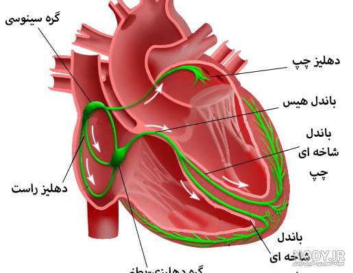 ضربان قلب بالا و کرونا