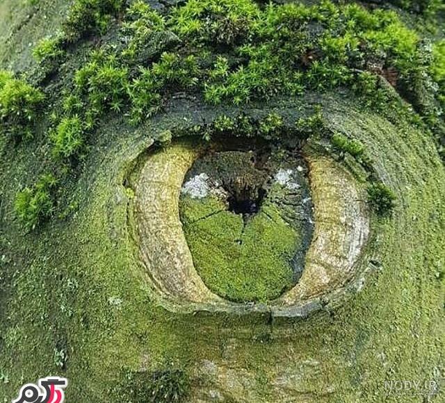 عکس نوشته زیبا عکس نوشته زیبا