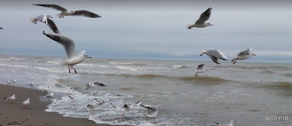 عکس خفن عکس شمال چالوس دریا