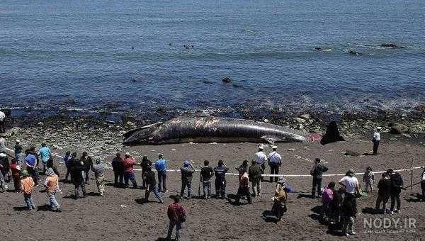 عکس خفن عکس شمال چالوس دریا