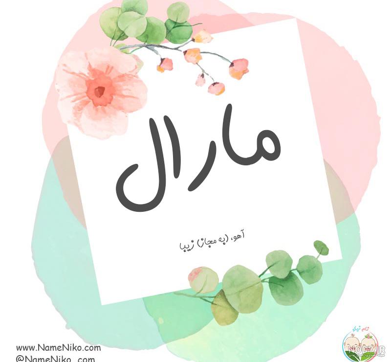 تحقیق در مورد گوزن زرد ایرانی