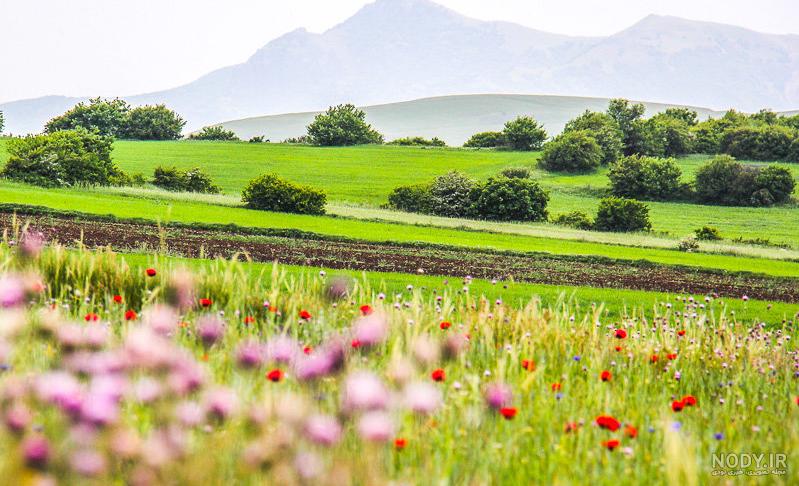جاهای دیدنی اردبیل و سرعین جاهای دیدنی اردبیل و سرعین
