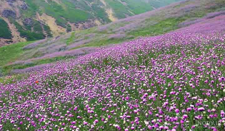 جاهای دیدنی خلخال جاهای دیدنی خلخال