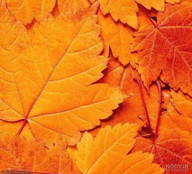 دانلود عکس طبیعت پاییزی