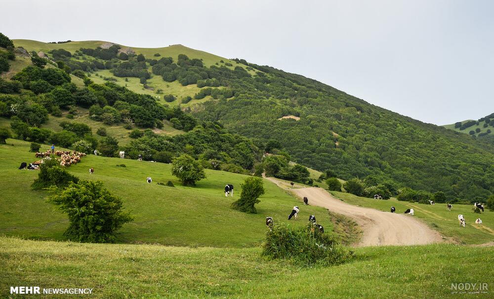 روستاهای گردشگری اردبیل روستاهای گردشگری اردبیل
