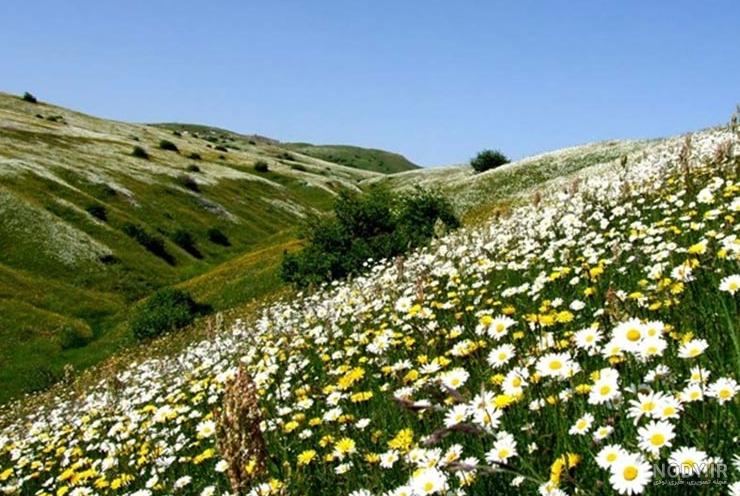 عکس از طبیعت اردبیل عکس از طبیعت اردبیل