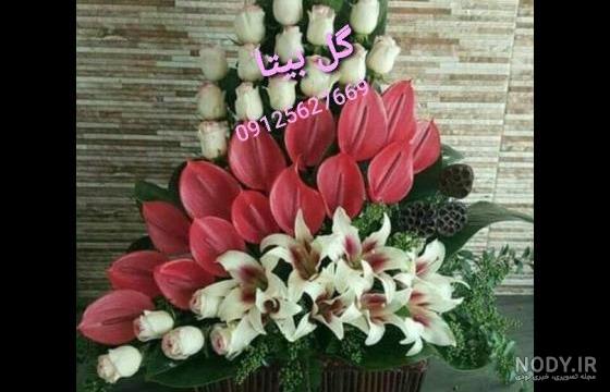 عکس بیتا عکس بیتا