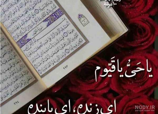عکس زیبای سحر زکریا