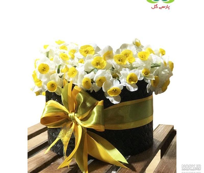 عکس سبد گل نرگس