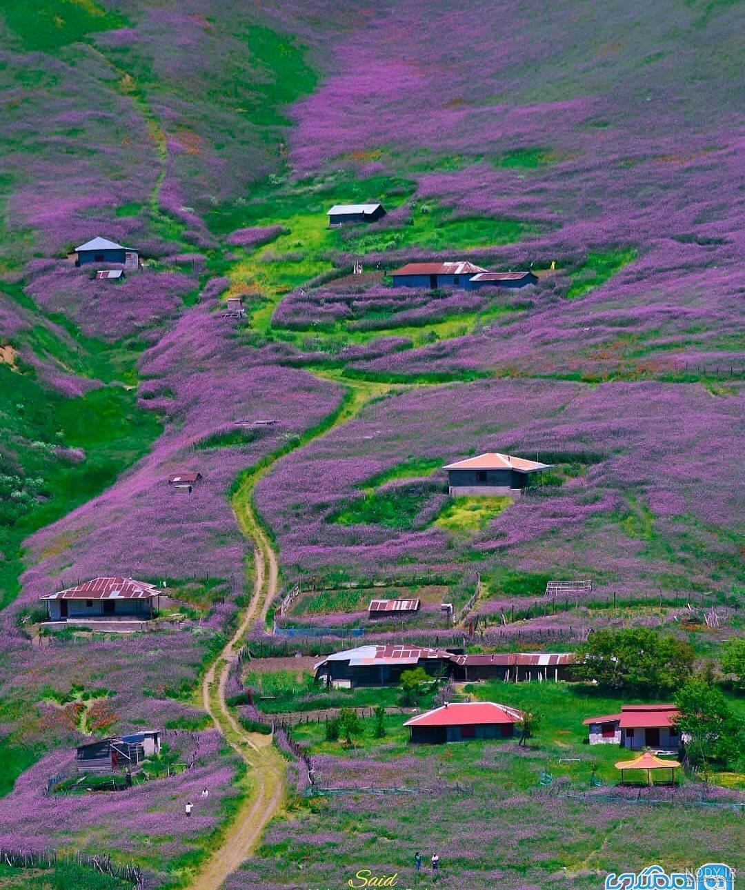 عکس طبیعی اردبیل عکس طبیعی اردبیل