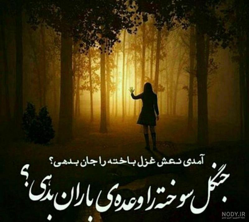 عکس نوشته های احسان افشاری