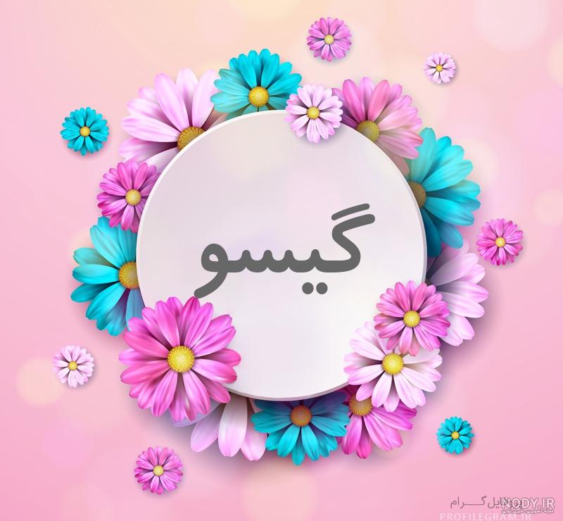 عکس نوشته گیسوی بلند عکس نوشته گیسوی بلند