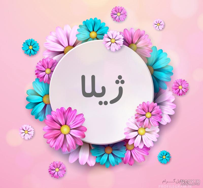 عکس پروفایل ژیلا به انگلیسی عکس پروفایل ژیلا به انگلیسی