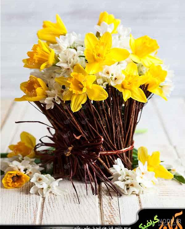 عکس گل نرگس برای پروفایل واتساپ عکس گل نرگس برای پروفایل واتساپ