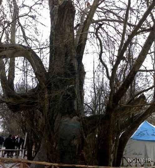 فیلم شیرین و فرهاد