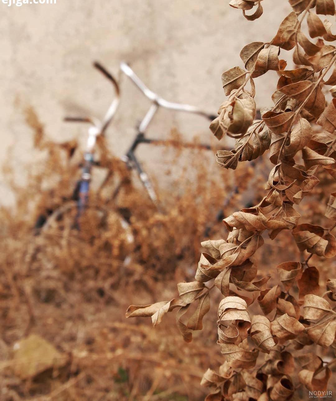 کاریکاتور کودکان کاریکاتور کودکان