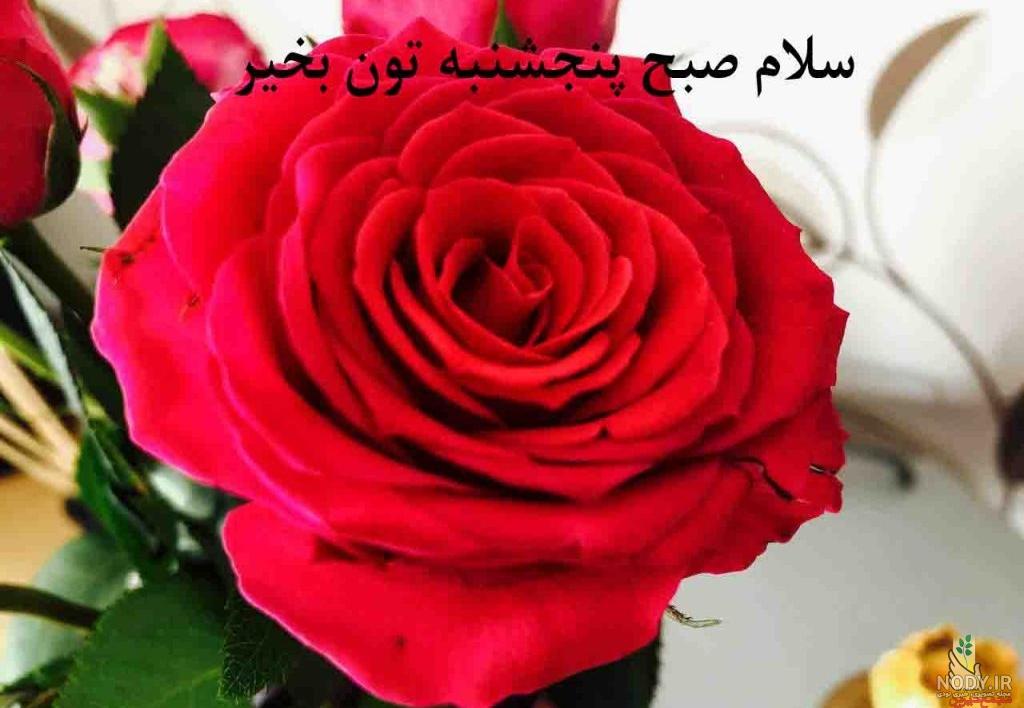 کلیپ صبح بخیر روز پنجشنبه کلیپ صبح بخیر روز پنجشنبه