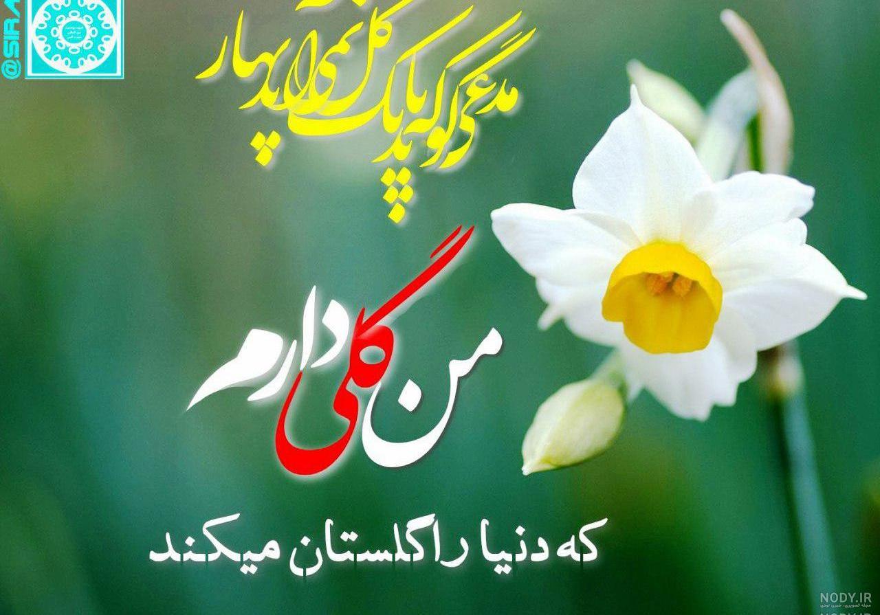 شعر حافظ درباره گل نرگس شعر حافظ درباره گل نرگس