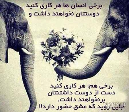 عکس مفهوم عشق